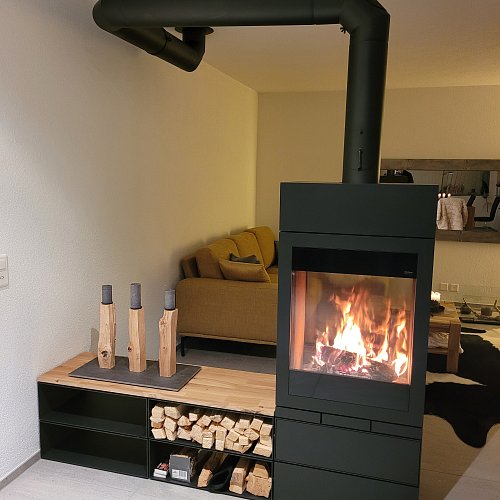 Cheminéeöfen (Schwedenofen)